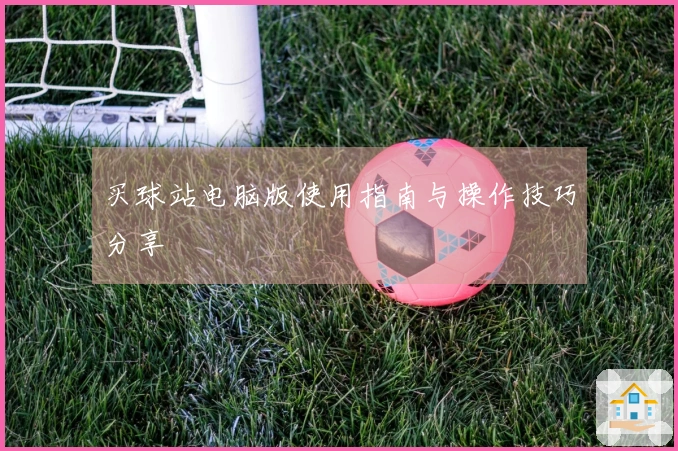 买球站电脑版使用指南与操作技巧分享