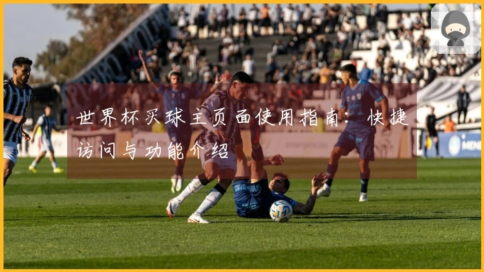 世界杯买球主页面使用指南：快捷访问与功能介绍