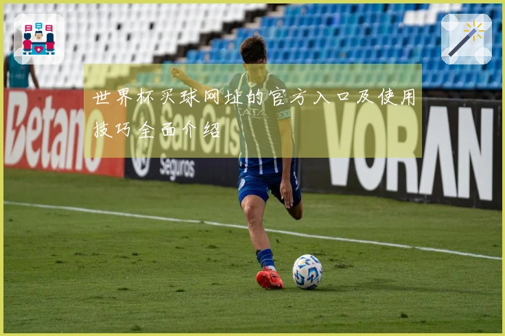世界杯买球网址的官方入口及使用技巧全面介绍