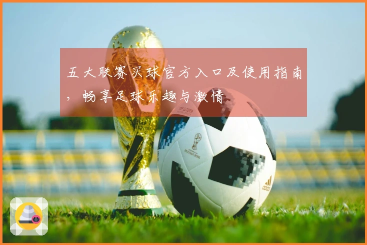 五大联赛买球官方入口及使用指南，畅享足球乐趣与激情