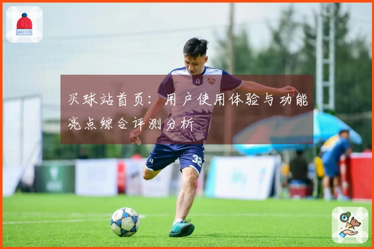 买球站首页：用户使用体验与功能亮点综合评测分析
