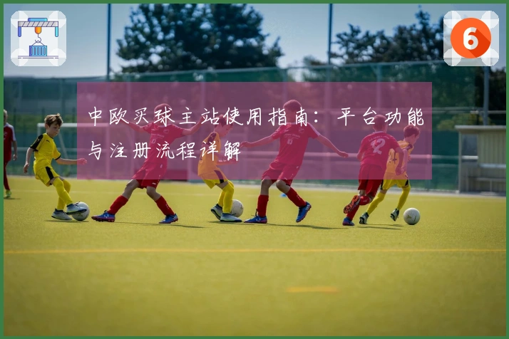 中欧买球主站使用指南：平台功能与注册流程详解