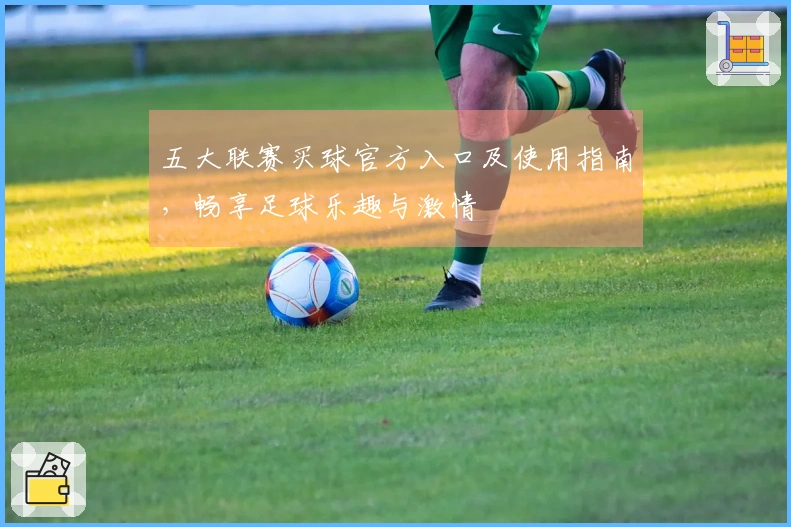 五大联赛买球官方入口及使用指南，畅享足球乐趣与激情
