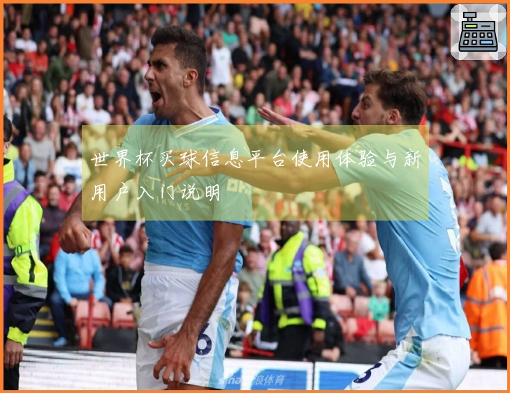 世界杯买球信息平台使用体验与新用户入门说明