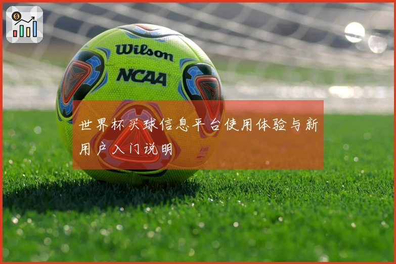 世界杯买球信息平台使用体验与新用户入门说明