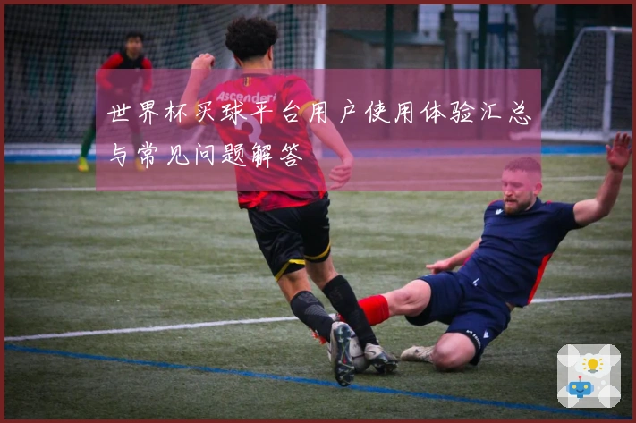 世界杯买球平台用户使用体验汇总与常见问题解答